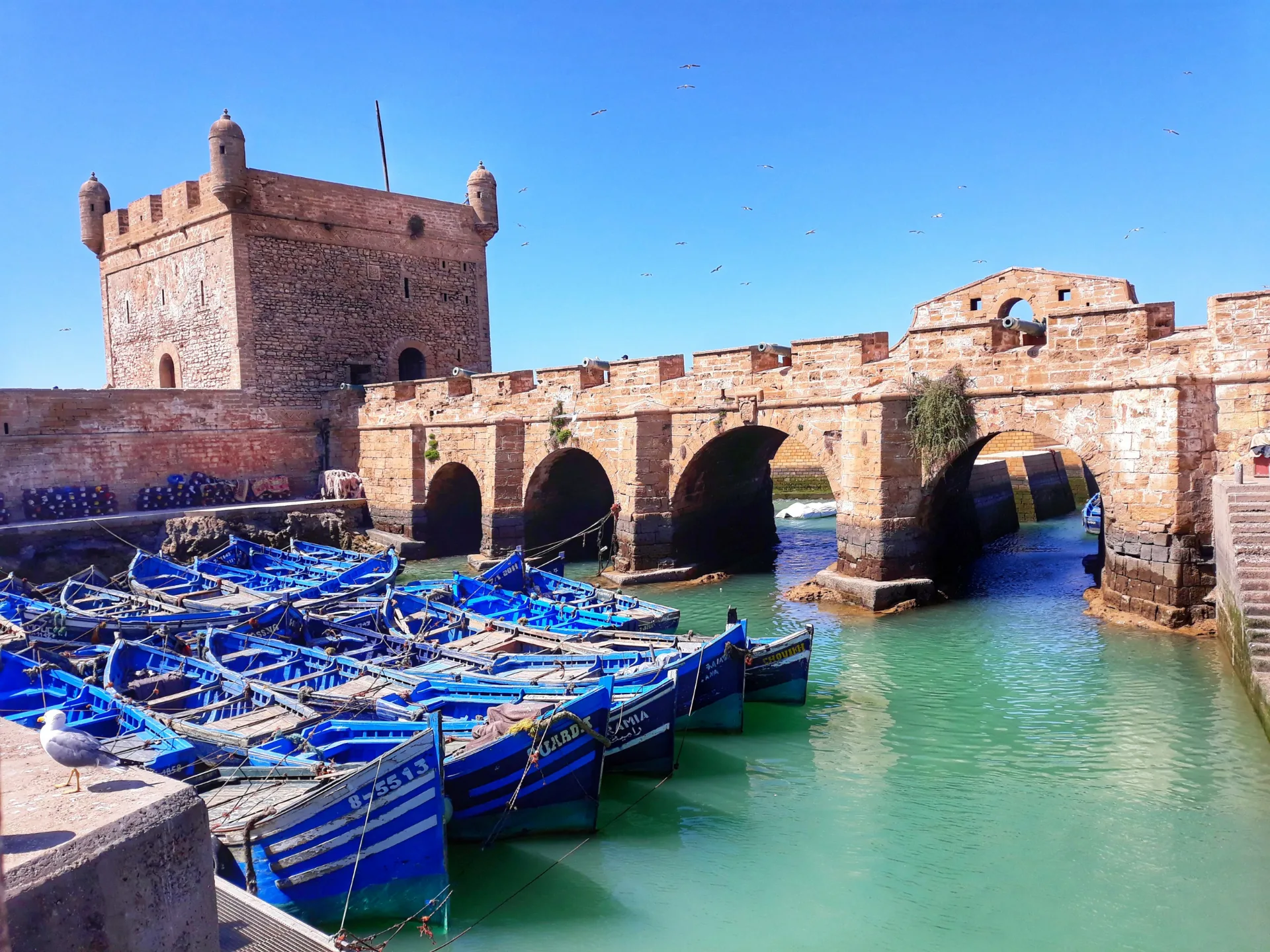 Essaouira, échappée sur l'Atlantique — Riad Zenaya & Spa à Marrakech